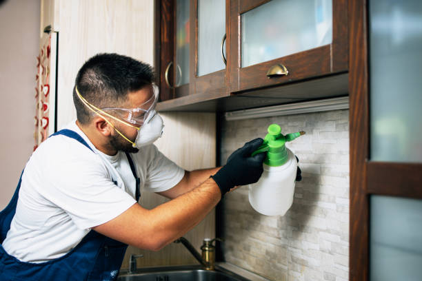 Best Pest Control Treatment  in Bear Creek, AL