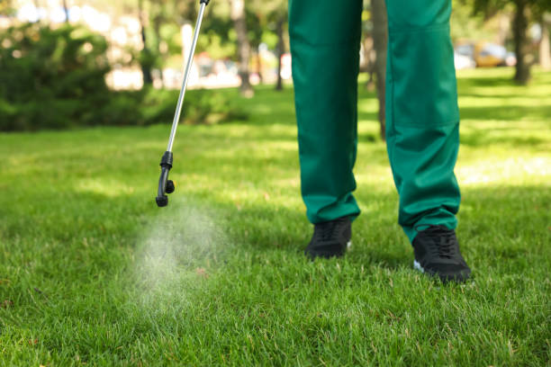 Pest Prevention Services in Bear Creek, AL