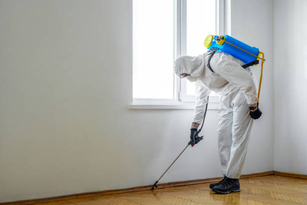 Best Residential Pest Control  in Bear Creek, AL