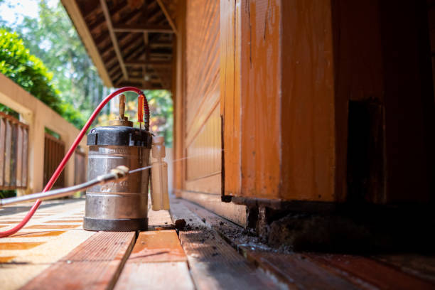 Best Affordable Pest Control Services  in Bear Creek, AL