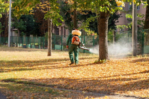 Best Affordable Pest Control Services  in Bear Creek, AL