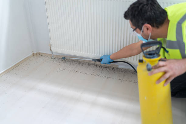 Best Mosquito Control Services  in Bear Creek, AL